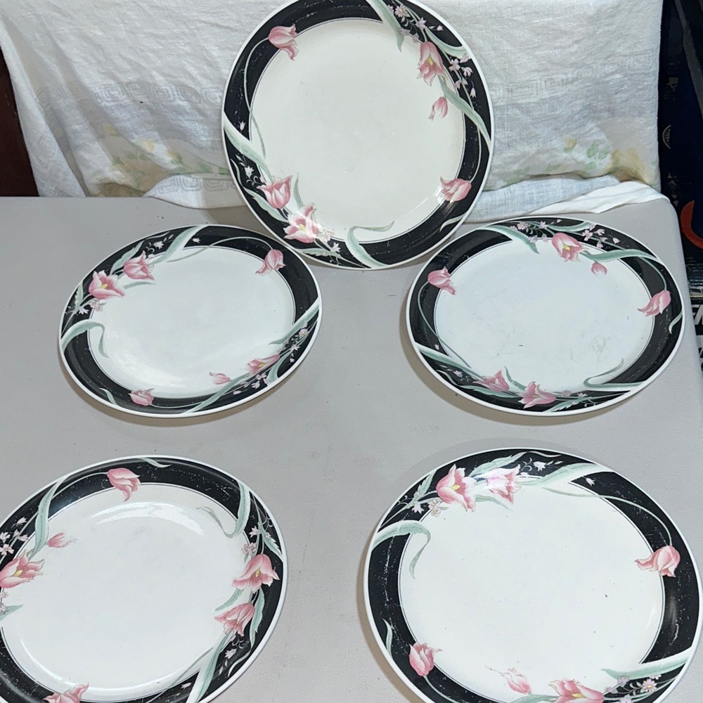 Five China Pearl Stone Ware Plates